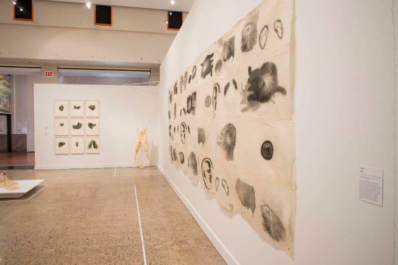 Kiki Smith and Paper: The Body, the Muse, and the Spirit