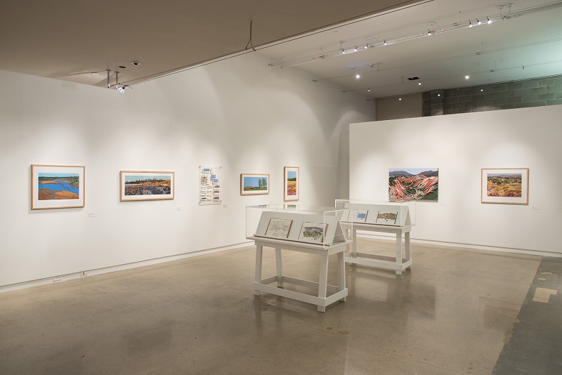 Liz Roth Installation